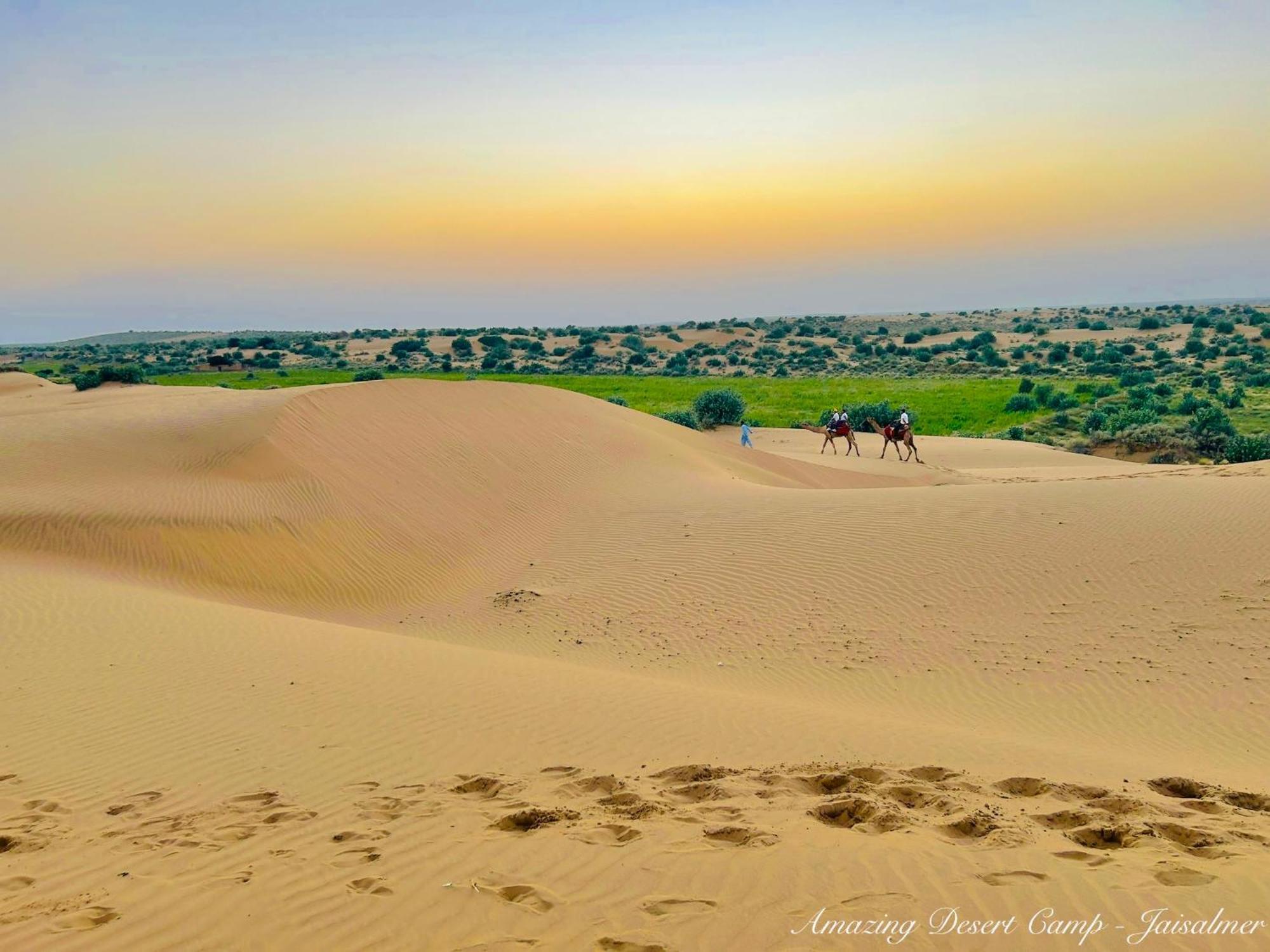 Amazing Desert Camp Jaisalmer Extérieur photo